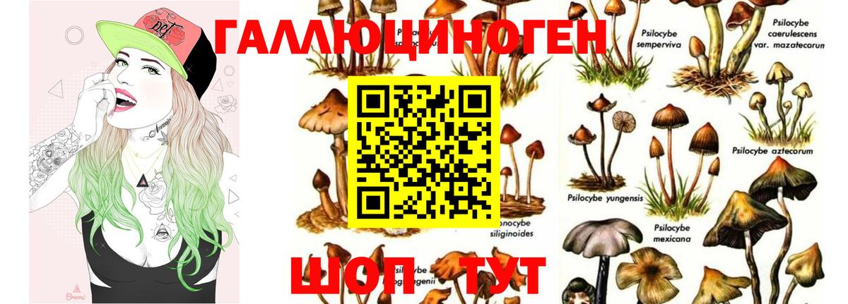 Галлюциногенные грибы Magic Shrooms  магазин    Лысьва  Вход с VPN 