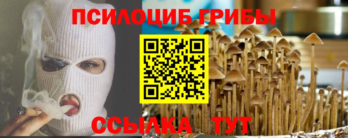 Галлюциногенные грибы GOLDEN TEACHER Лысьва